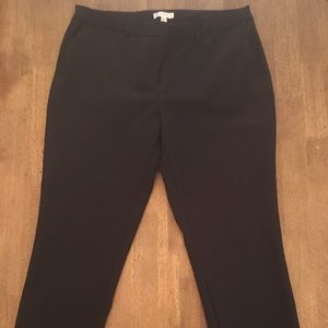 Eliane Rose- Dress Slacks